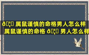 🦅 属鼠谨慎的命格男人怎么样「属鼠谨慎的命格 🦊 男人怎么样呢」